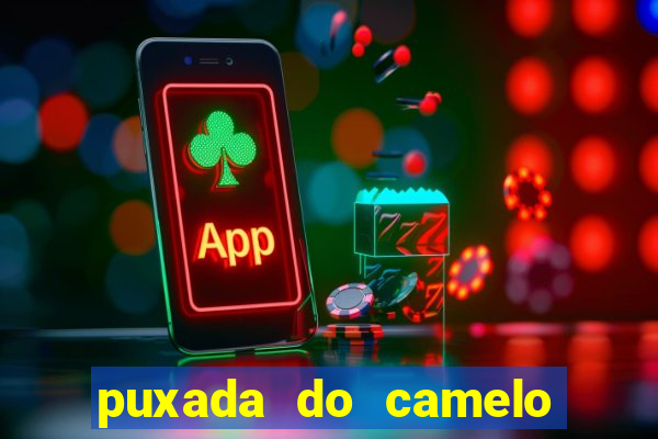 puxada do camelo jogo do bicho